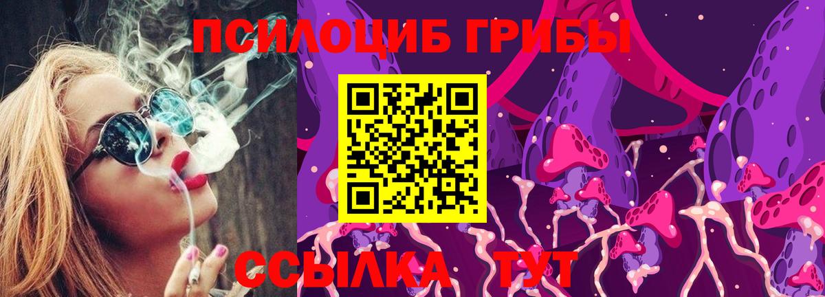 Псилоцибиновые грибы ЛСД Гуково