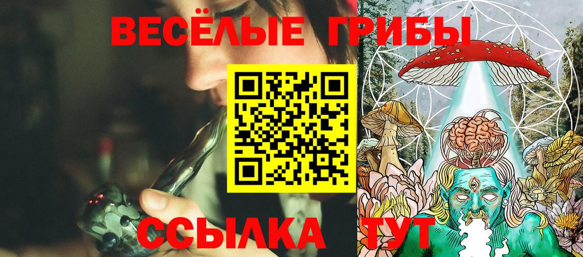 Гуково  Галлюциногенные грибы Cubensis  Вход с VPN 